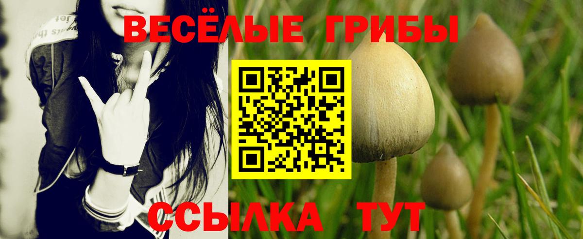 Галлюциногенные грибы мицелий Озёрск